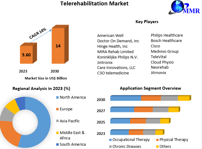 Telerehabilitation Market Overview, Key Players, Segmentation Analysis, Development Status and Forecast by 2030
