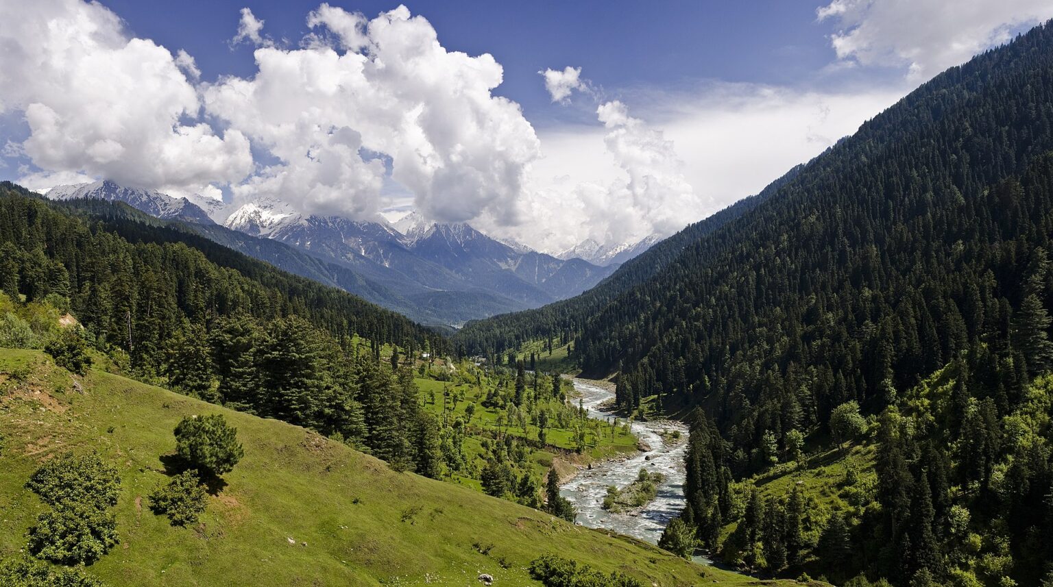 best nature view in kashmir 